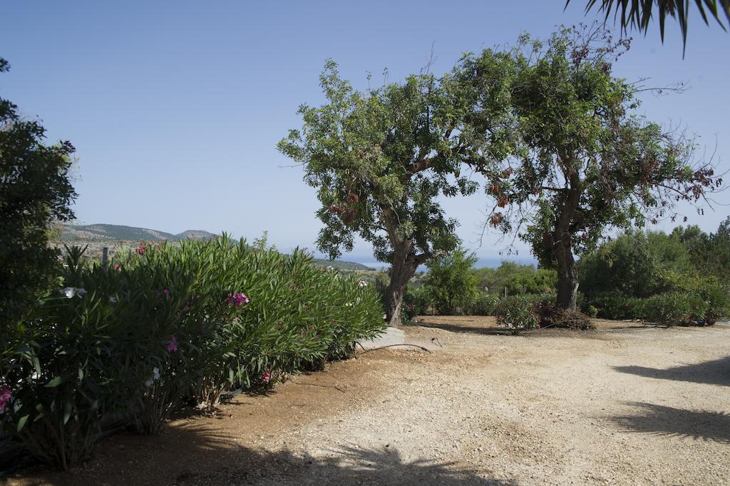 Akamas Edge Villas Polis Værelse billede